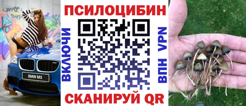 Псилоцибиновые грибы Cubensis МЕГА онион маркетплейс формула наркошоп Белебей